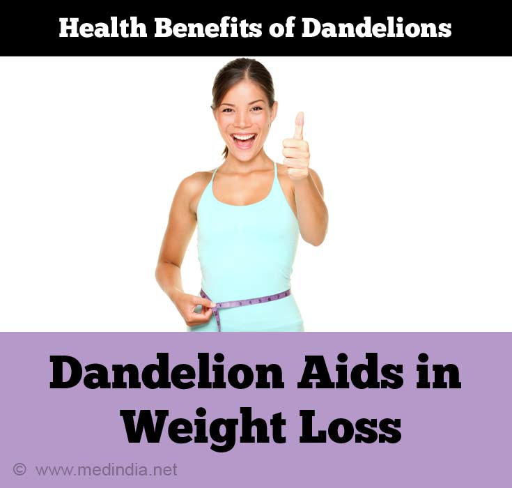 Dandelion for Weight Management Dandelion for Weight Management