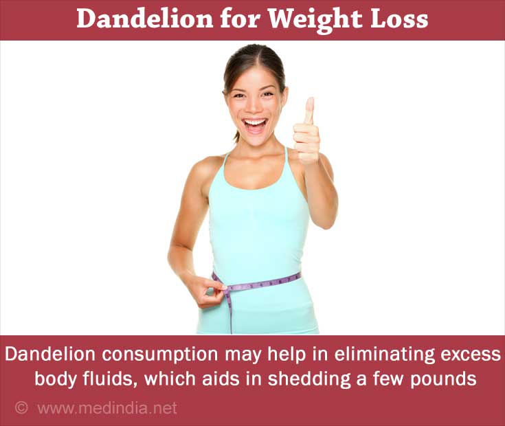 Dandelion for Weight Management Dandelion for Weight Management