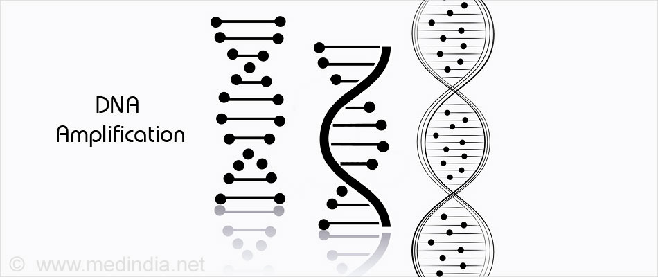Step type. ДНК фингерпринтинг. Схематическое изображение метода ДНК Фингерпринт. Branched DNA Signal Amplification. Taq-полимераза.