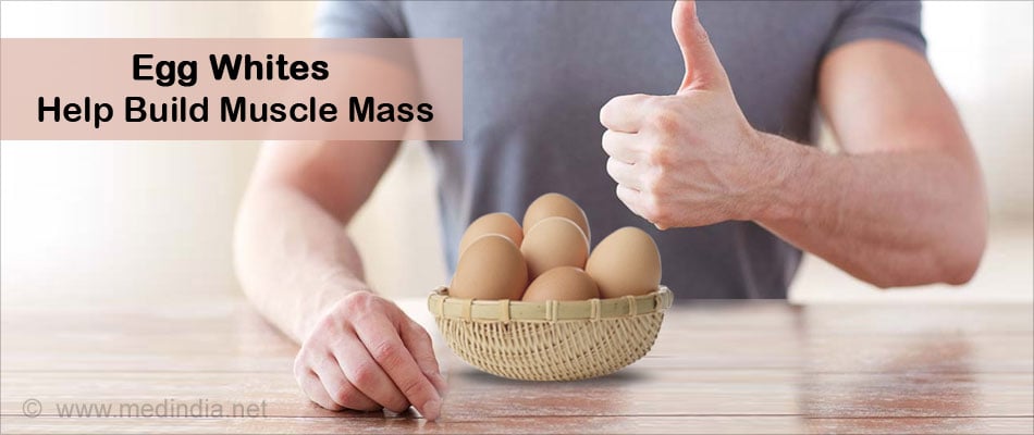 Egg Whites Help Build Muscle Mass Egg Whites Help Build Muscle Mass