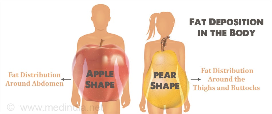 fat inside the body