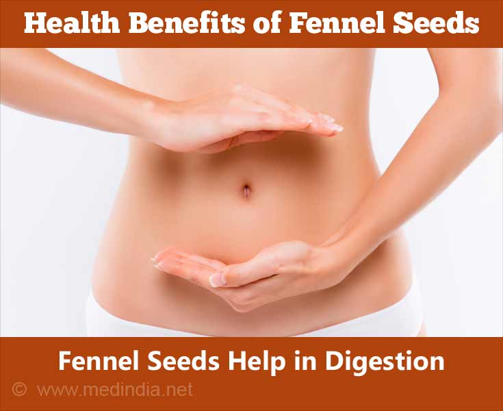 Fennel Seeds Help in Digestion Fennel Seeds Help in Digestion
