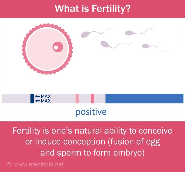 Fertilized Ovum and Sperm