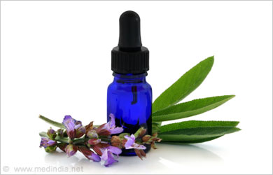 Flea Bites Lavender Oil Flea Bites Lavender Oil