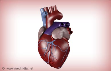 Fructose Heart Disease Fructose Heart Disease