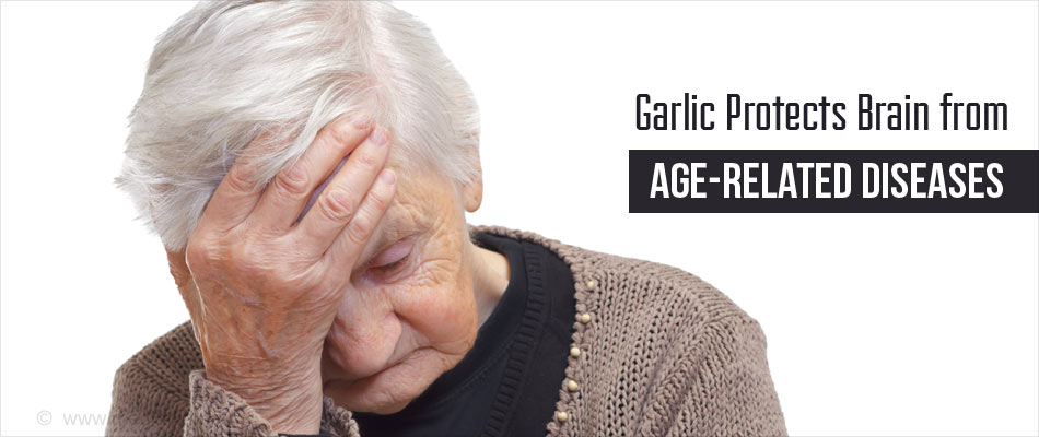Garlic Prevents Alzheimers Dementia Garlic Prevents Alzheimers Dementia