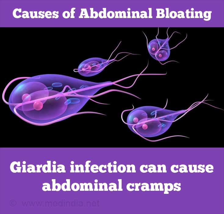 A infecção por Giardia pode causar cólicas abdominais