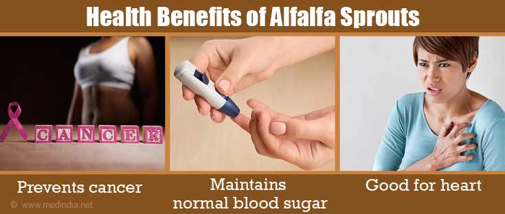 Health Benefits of Alfalfa Sprouts Health Benefits of Alfalfa Sprouts