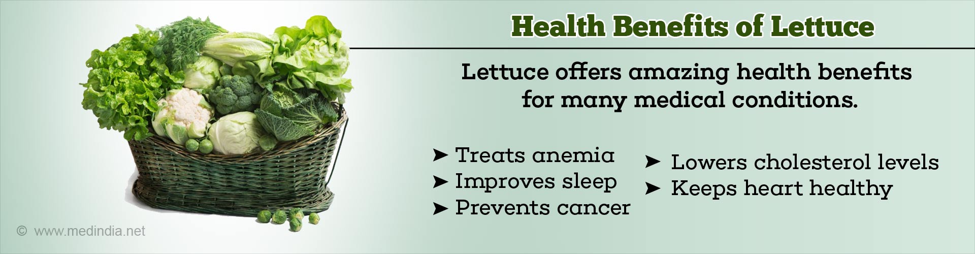 Lettuce: Nutritive Value, Health Benefits, Recipes