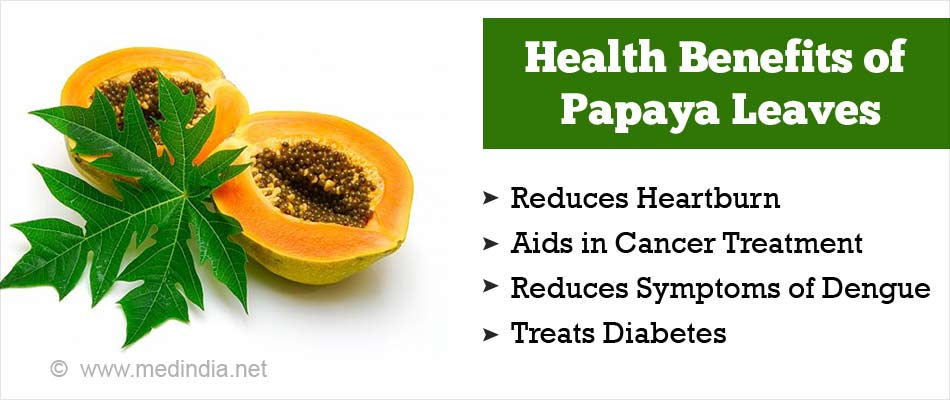 Papaya leaf tea side effects best sale