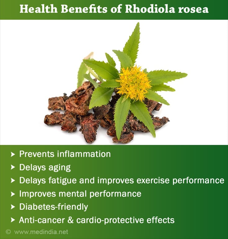 Health Benefits of Rhodiola rosea