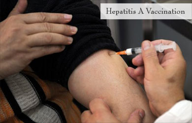 Hepatitis A Vaccination Hepatitis A Vaccination
