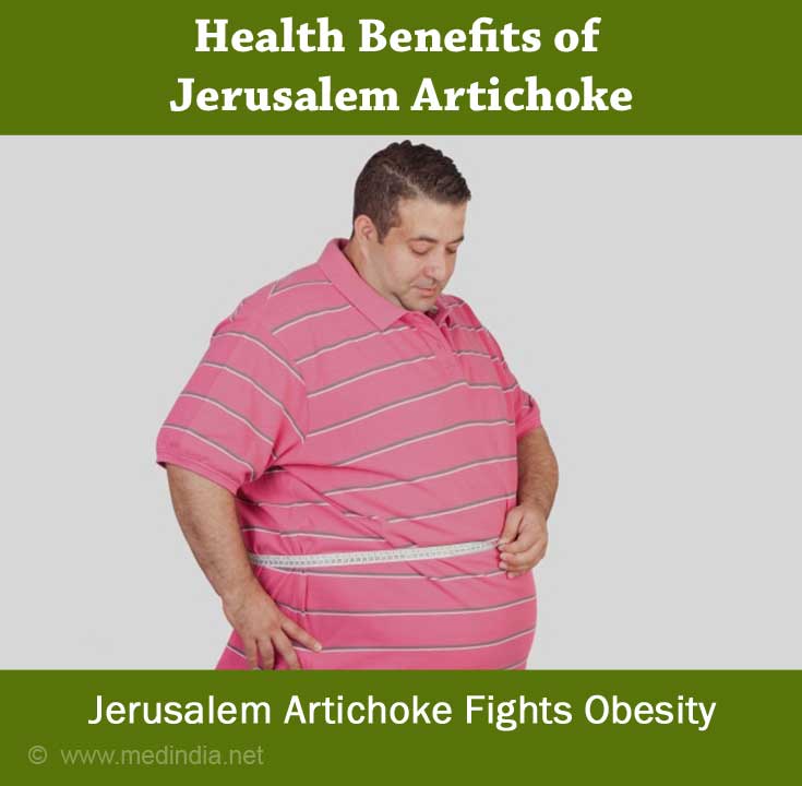 Jerusalem Artichoke Fights Obesity Jerusalem Artichoke Fights Obesity