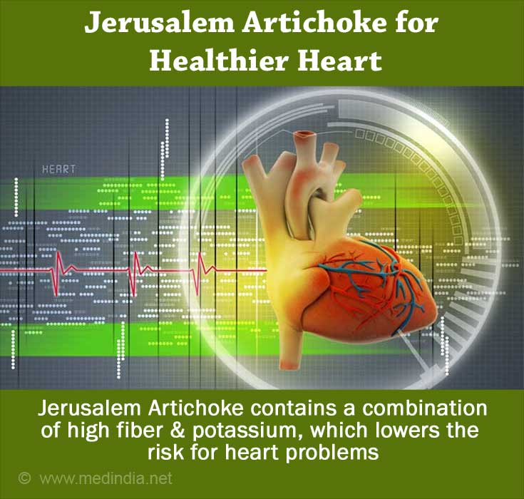 Jerusalem Artichoke for Healthy Heart Jerusalem Artichoke for Healthy Heart