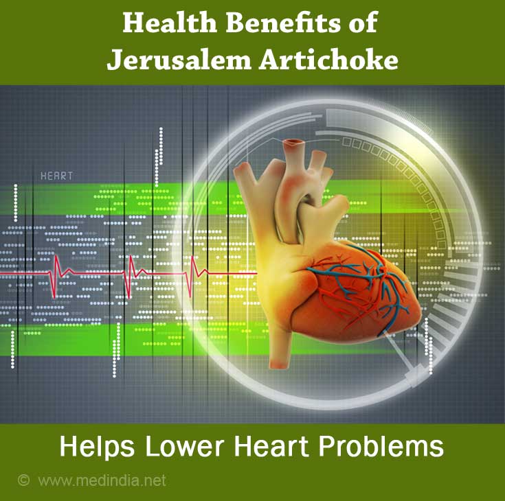 Jerusalem Artichoke for Healthy Heart Jerusalem Artichoke for Healthy Heart