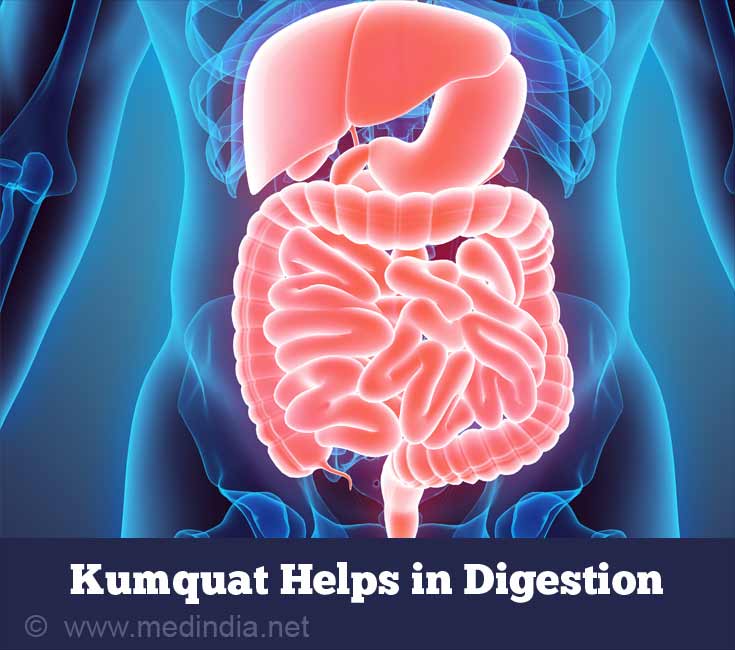 Kumquat Regulates Digestion Kumquat Regulates Digestion