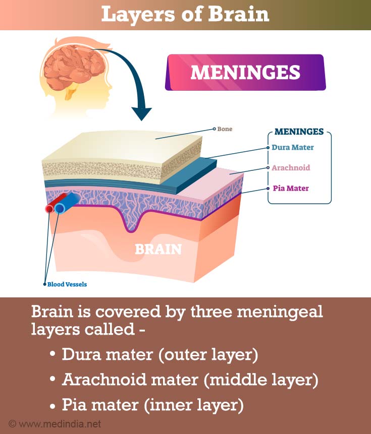 Brain Hemorrhage | Intracranial Hemorrhage