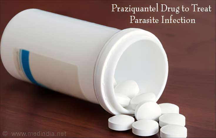 Medications Used to Treat Worm Infestations - Praziquantel Medications Used to Treat Worm Infestations - Praziquantel