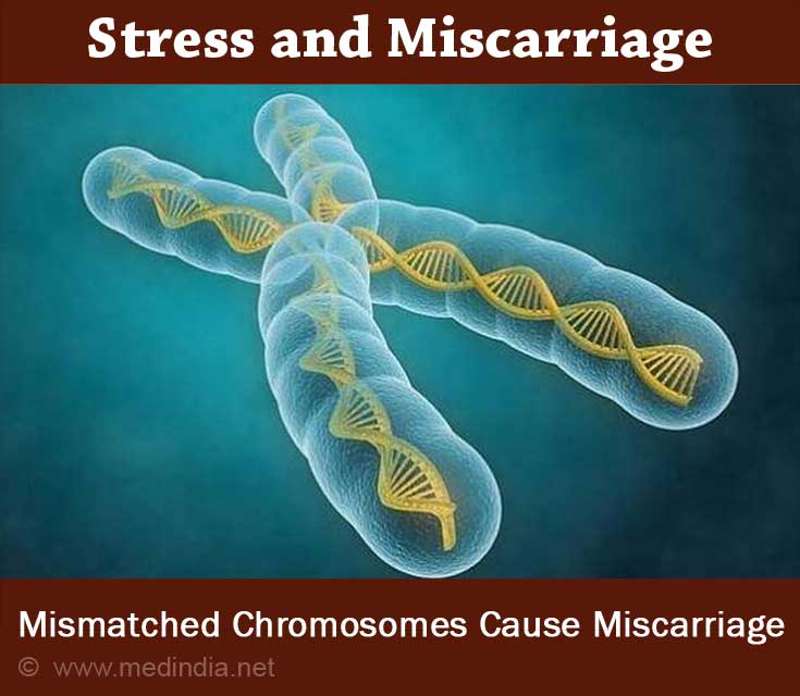 Mismatched Chromosomes Mismatched Chromosomes