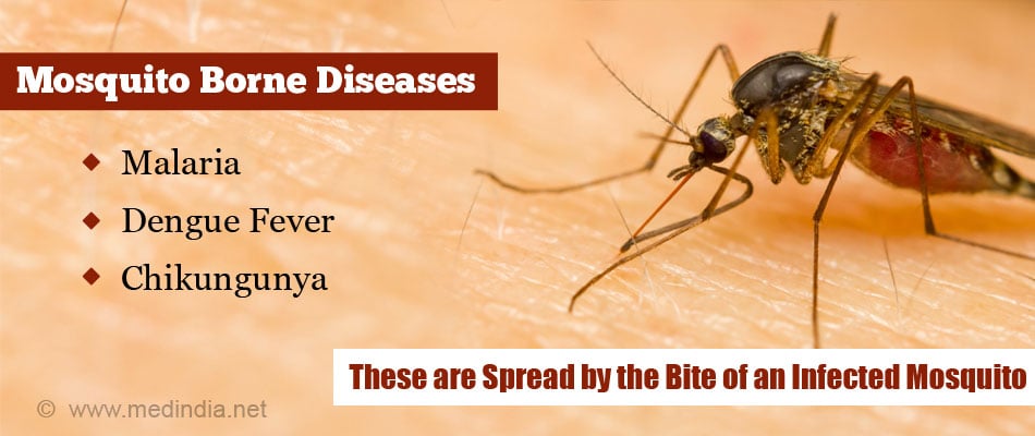 Most Common Monsoon Diseases