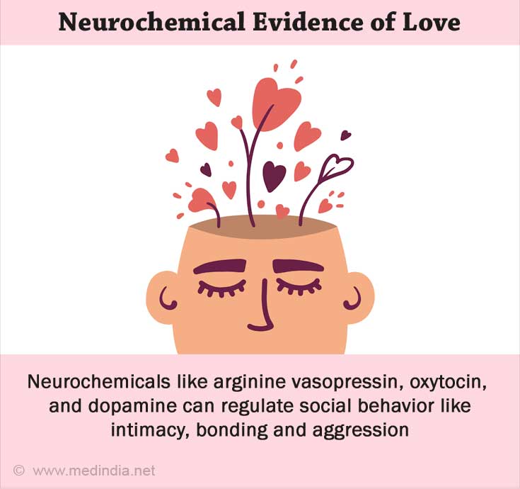 Neurochemical Evidence of Love Neurochemical Evidence of Love