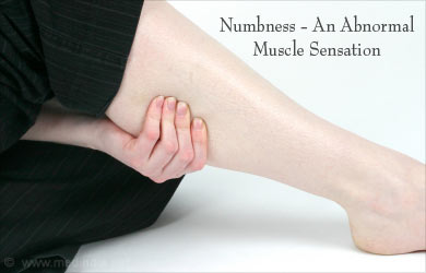 Symptom of Muscle Twitching - Numbness in the Muscle Symptom of Muscle Twitching - Numbness in the Muscle