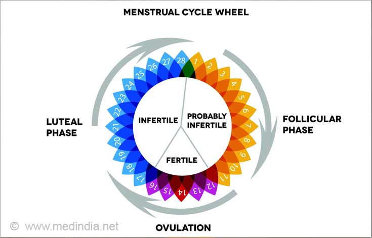 Ovulation Wheel Chart