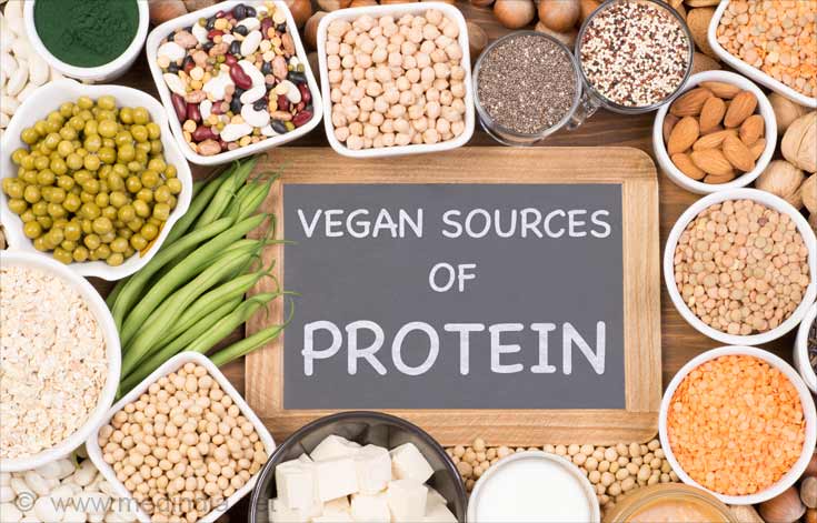 Protein Power of Vegan Diet Food Protein Power of Vegan Diet Food