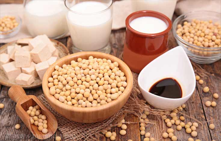 Protein Vegan Diet Soya Products Protein Vegan Diet Soya Products