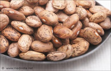 Protein Vegan Diet Pinto Beans Protein Vegan Diet Pinto Beans