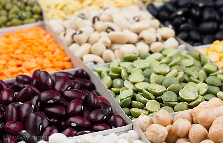 Protein Vegan Diet Pulses Protein Vegan Diet Pulses