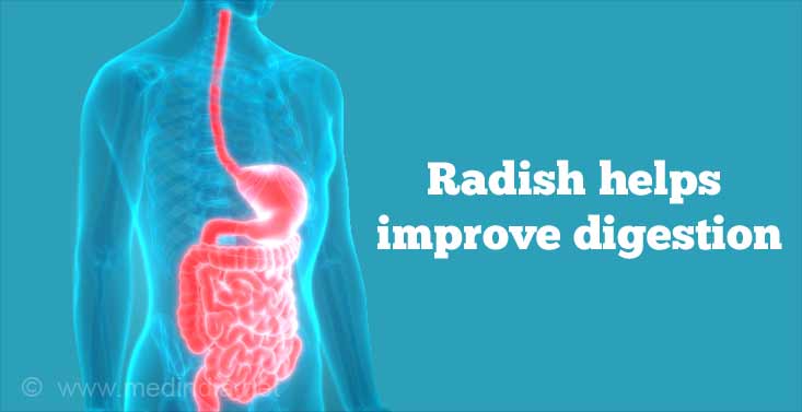 Radish Helps Improve Digestion Radish Helps Improve Digestion