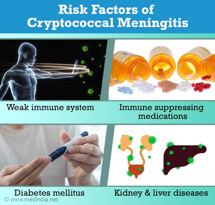 Cryptococcal Meningitis Causes, Risk Factors, Symptoms, Diagnosis