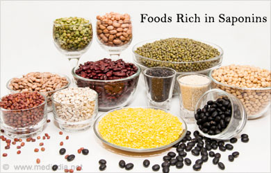 Saponins Rich Foods Saponins Rich Foods