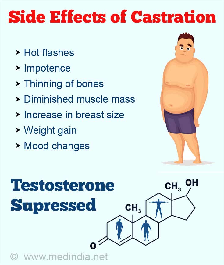 Chemical Castration Medicine Pros And Cons Erofound