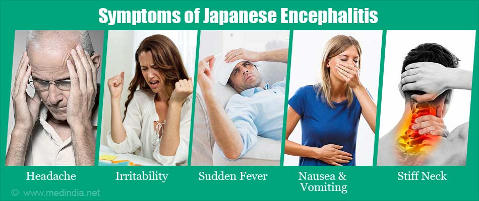 What You Should Know About Japanese Encephalitis Types Causes 