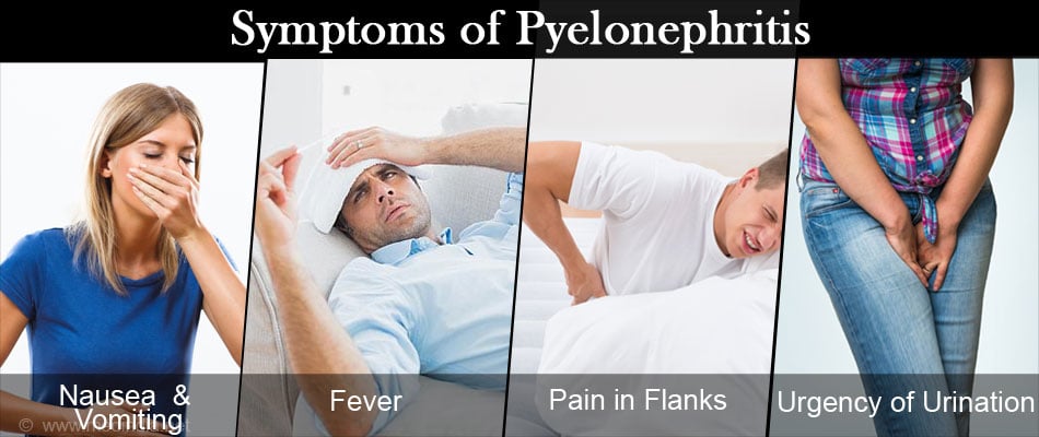 pyelonephritis symptoms