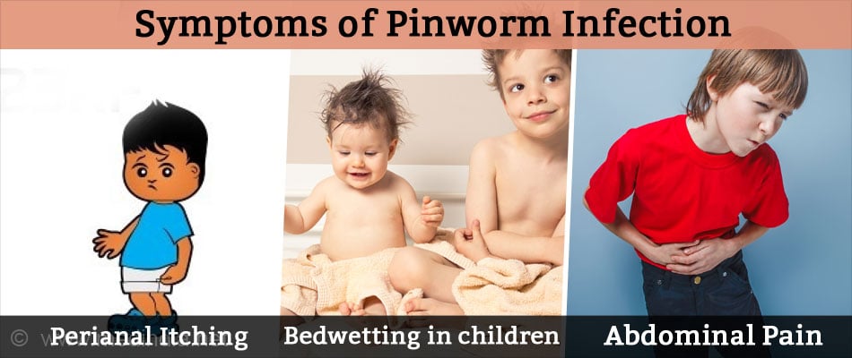 pinworms és enuresis