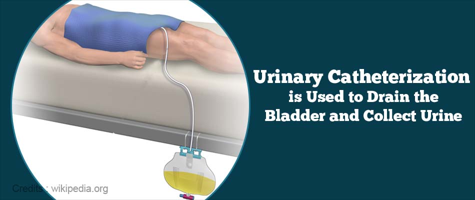 Urinary System Incontinence: Therapy, Creates, Types, And Signs And ...