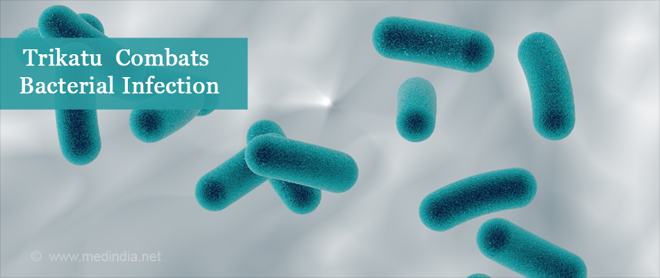 Trikatu Combats Bacterial Infection Trikatu Combats Bacterial Infection