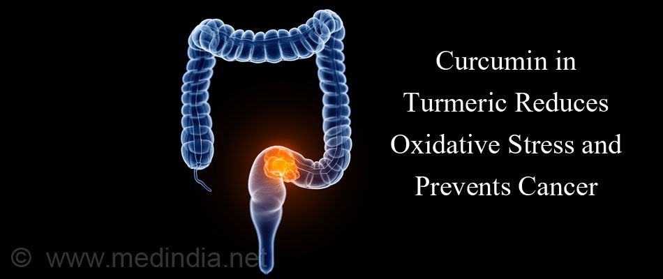 Curcumin in Turmeric Reduces Oxidative Stress and Prevents Cancer Curcumin in Turmeric Reduces Oxidative Stress and Prevents Cancer