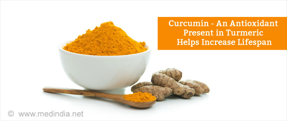 Curcumin - An Antioxidant Present in Turmeric Helps Increase Lifespan Curcumin - An Antioxidant Present in Turmeric Helps Increase Lifespan