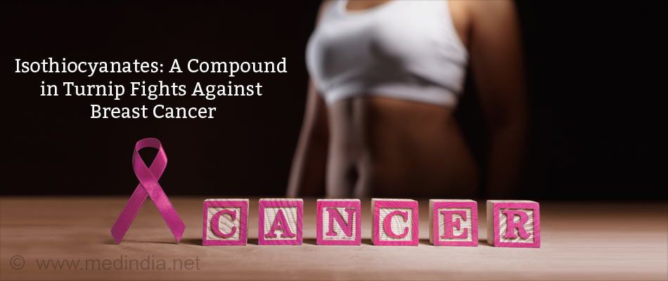 Isothiocyanates: A Compound in Turnip Fights Against Breast Cancer Isothiocyanates: A Compound in Turnip Fights Against Breast Cancer