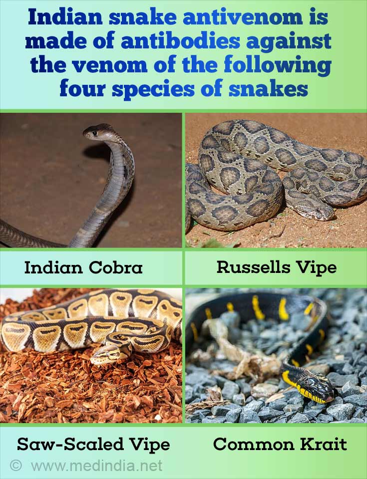 Indian Snake Antivenom An Overview