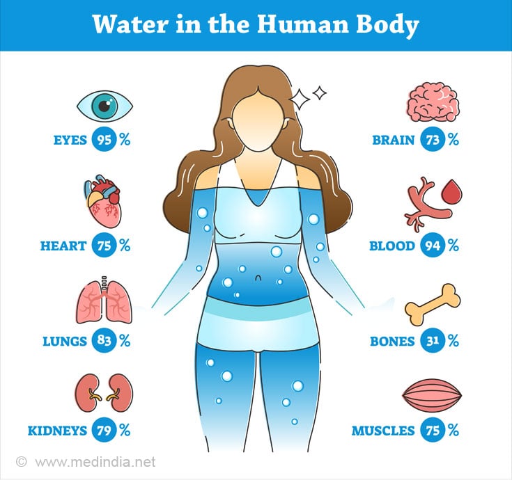 Water in the Human Body