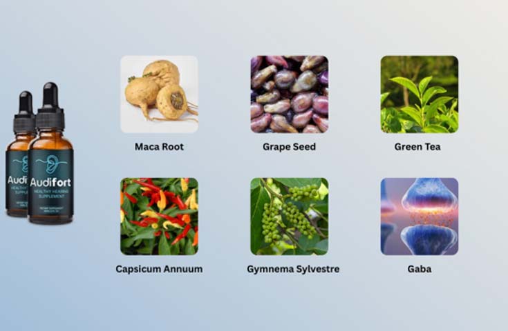 Audifort Ingredients