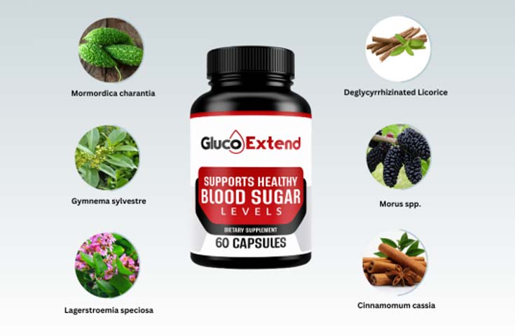 Gluco Extend Ingredients