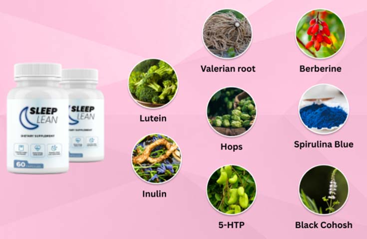 Sleep Lean Ingredients