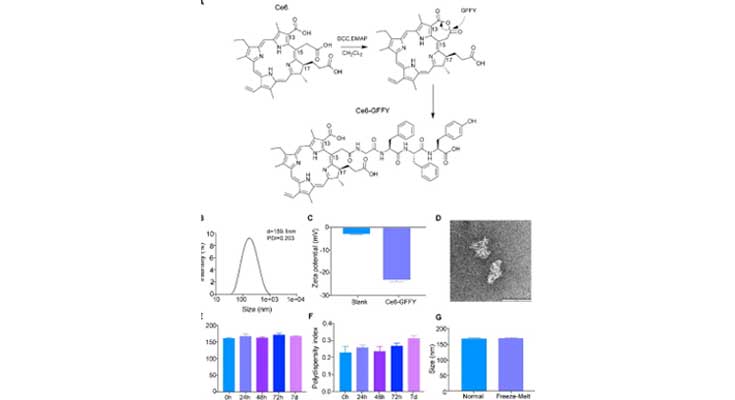 Synthesis and characterization of Ce6-GFFY