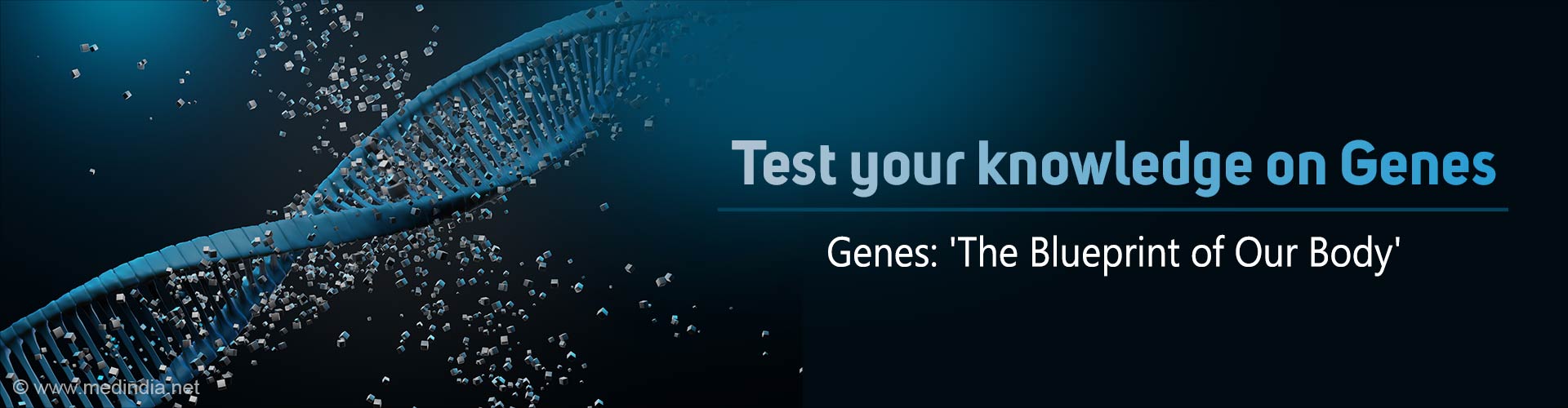 Test Your Knowledge on Genes